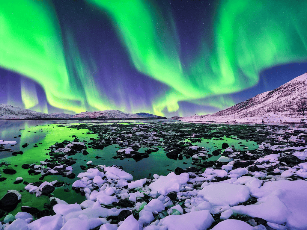 Reflections on a Journey of a Lifetime